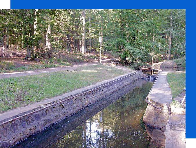Bergisch Gladbach_Koenigsforst Wassertretstelle_KIC Immobilien